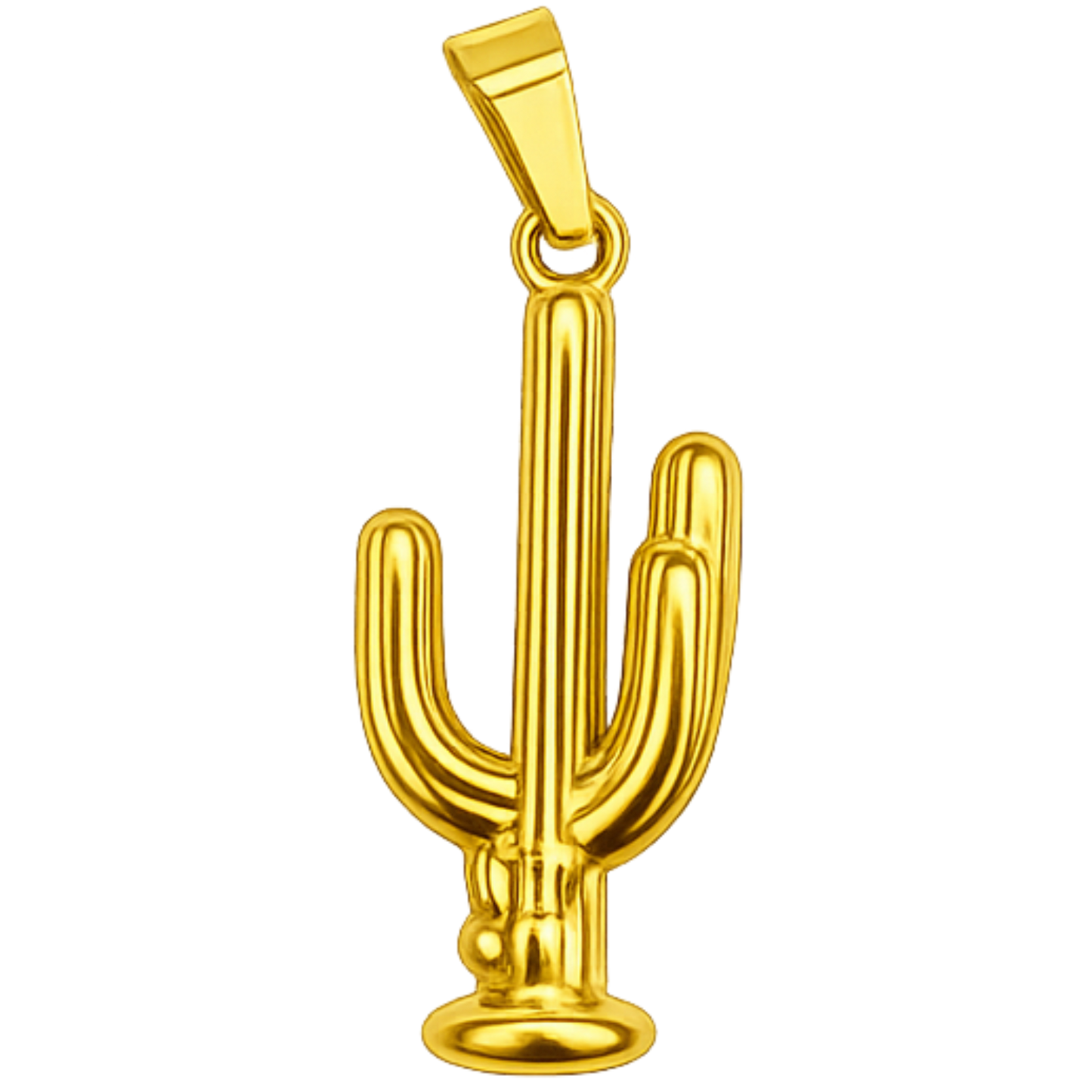 CHARM Cactus