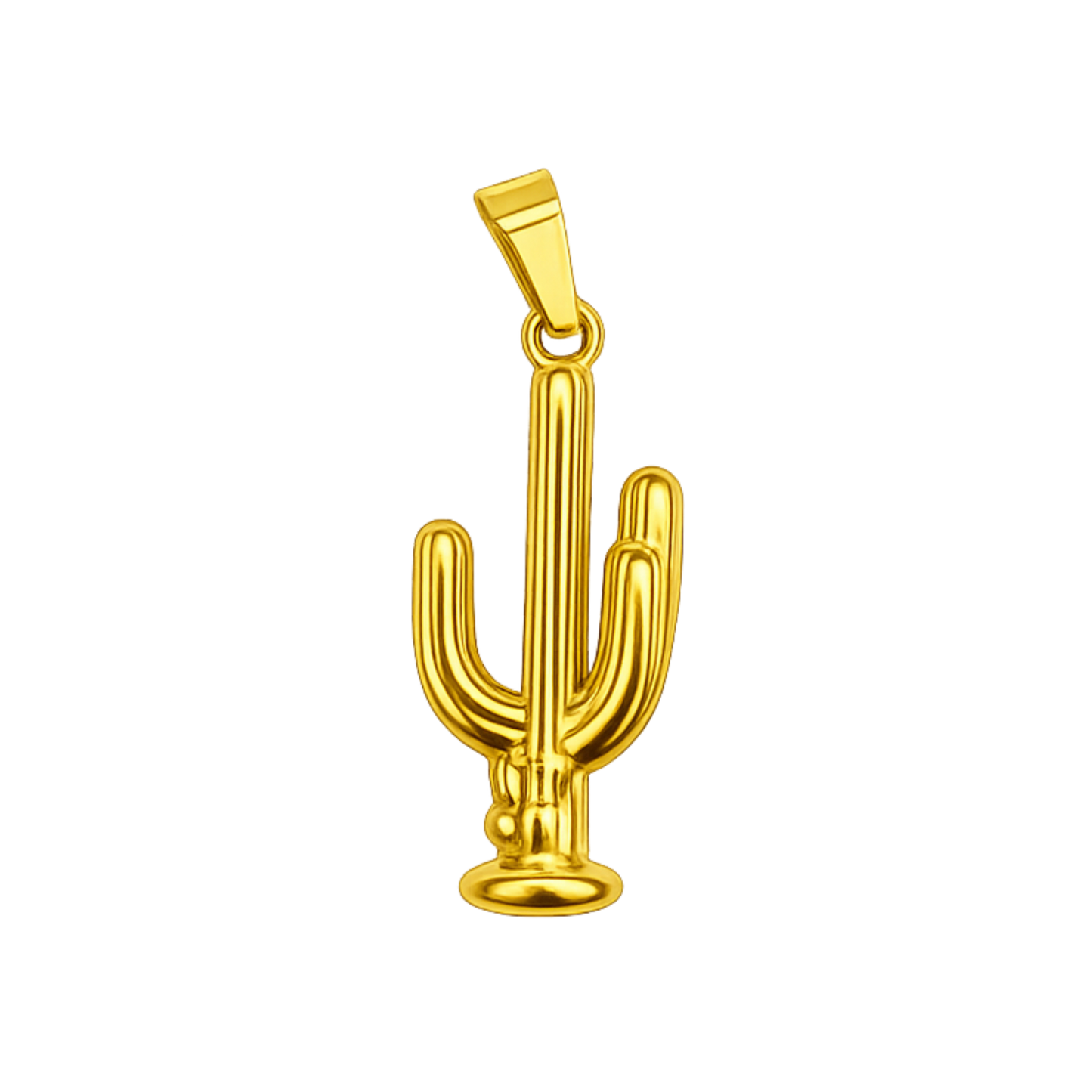 CHARM Cactus